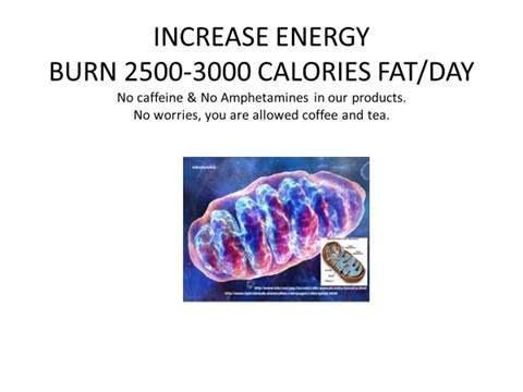 Doctor-Supervised Metabolism Reboot Natural Weight Loss Program - 42 Years Expertise - Restivo Health & Wellness