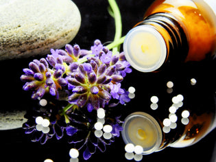  Navigating your way through essential oils? We Share Our Top 5