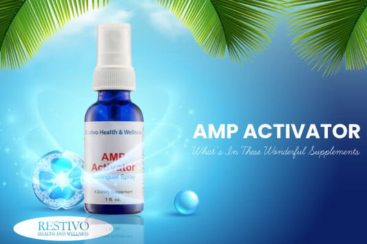 AMP ACTIVATOR – WHAT'S IN THESE WONDERFUL SUPPLEMENTS - Restivo Health & Wellness