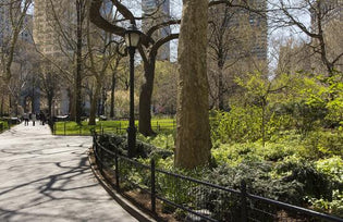  The Best Places to Walk in NYC