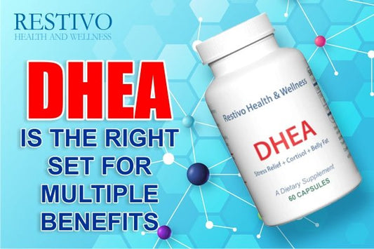 DHEA IS THE RIGHT SET FOR MULTIPLE BENEFITS - Restivo Health & Wellness