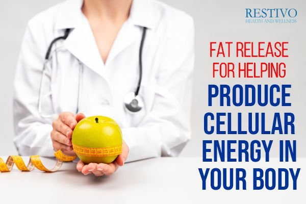 FAT RELEASE FOR HELPING PRODUCE CELLULAR ENERGY IN YOUR BODY - Restivo Health & Wellness