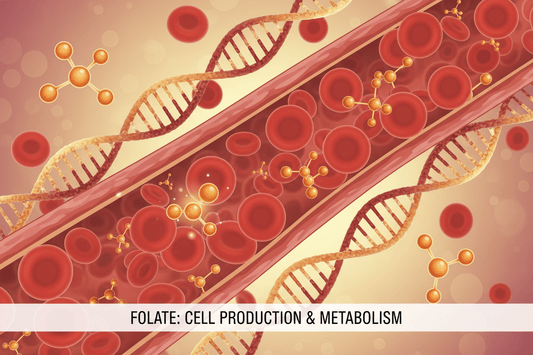 FEB 12 PM - Folate Deficiency: How Low Folate Disrupts Metabolism