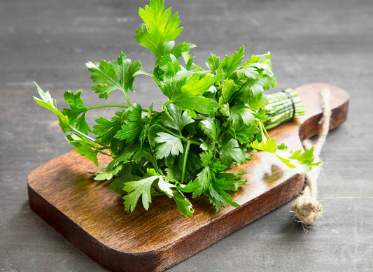 Using Parsley As A Powerhouse Herb: Part 2