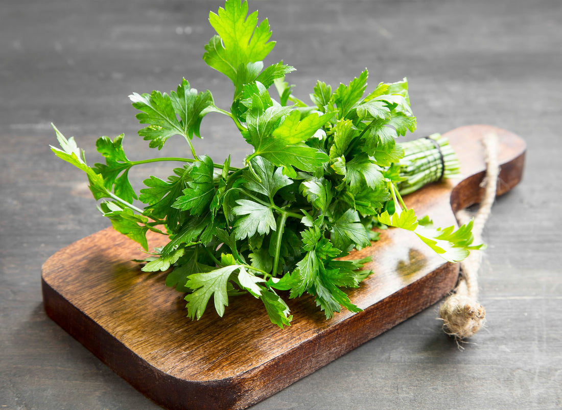 Using Parsley As A Powerhouse Herb