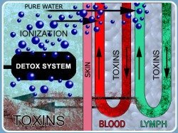 Losing weight with the Ion Therapy Weight Loss Method - Restivo Health & Wellness