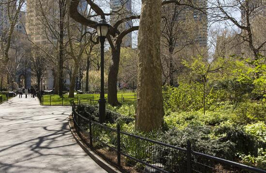 The Best Places to Walk in NYC - Restivo Health & Wellness