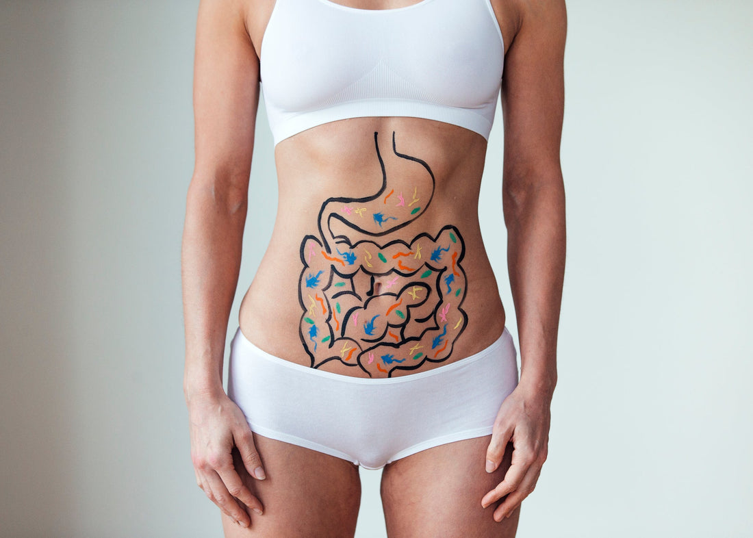 The Importance of Gut Health Part 2 - Restivo Health & Wellness