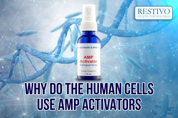 WHY DO THE HUMAN CELLS USE AMP ACTIVATORS - Restivo Health & Wellness